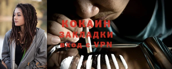 крисы Алзамай