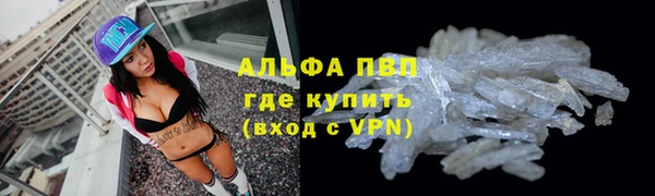 крисы Алзамай