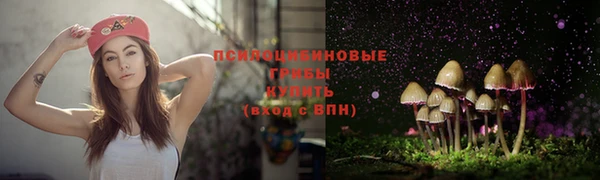 спайс Алексеевка
