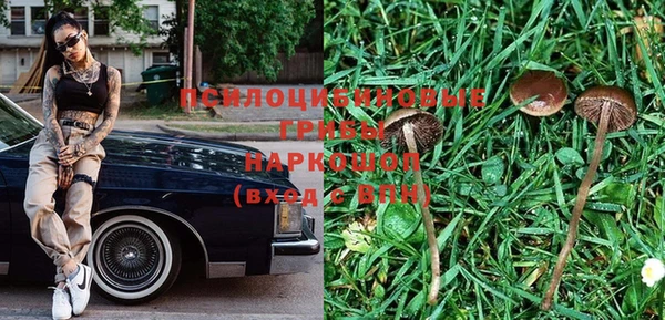 крисы Алзамай