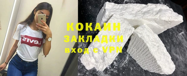крисы Алзамай