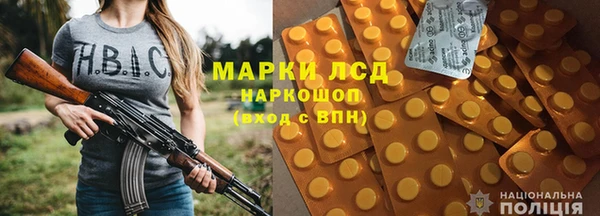 крисы Алзамай